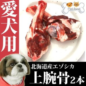 画像2: 【在庫一掃】犬用 エゾ鹿 上腕骨2個 　生食OK！【1人3個まで】