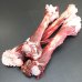 画像3: 鹿肉 丸骨 2kg  北のジビエ直販:北海道エゾシカ
