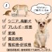 画像3: セール対象 / 【獣医師監修】犬用 猫用 柔らか煮込み エゾ鹿肉 200g【犬用 病院食 療養食 無添加 レトルト 手作り】【ネコポス送料無料】 (3)