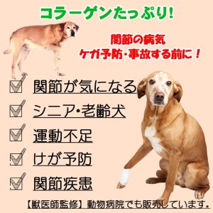 画像3: 【獣医師監修】犬用 ナマコ入り えぞ鹿肉ジャーキー 50g 関節ケア【ネコポス送料無料】【犬用 おやつ  無添加】