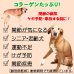 画像3: 【獣医師監修】犬用 ナマコ粉末(キンコ) 90g コラーゲンの補給/関節に！【犬用 病院食 無添加】
