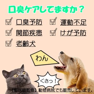 画像3: 【お徳用】10袋セット 】鹿肉ペースト 10g×10本 (鹿肉×ナマコ×乳酸菌)  口臭予防/関節に！【獣医師監修】【ネコポス送料無料】【猫用 犬用 病院食 療養食 安心安全 無添加】