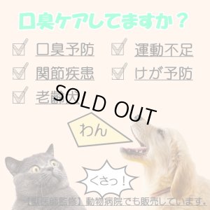 画像3: 【お徳用】10袋セット 】鹿肉ペースト 10g×10本 (鹿肉×ナマコ×乳酸菌)  口臭予防/関節に！【獣医師監修】【ネコポス送料無料】【猫用 犬用 病院食 療養食 安心安全 無添加】