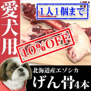 画像1: 【先着/数量限定】犬用 エゾ鹿 げん骨4個  生食OK！