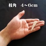 【GWセール】【鹿角】おまかせ 枝角 4cm〜6cm 用途自由 ペットおもちゃ、アクセサリー色々。北海道エゾシカつの