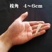 画像1: 【鹿角】おまかせ 枝角 4cm〜6cm 用途自由 ペットおもちゃ、アクセサリー色々。北海道エゾシカつの (1)