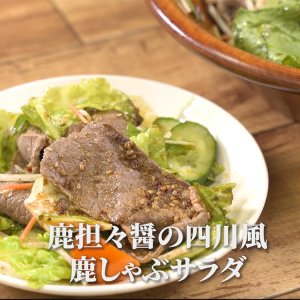 画像11: ジャンジャン食べれる！えぞ鹿麻辣醤/坦々醤 2袋セット （レトルト商品）【ネコポス送料無料】 [北海道産鹿肉/手作り/工場直販]