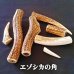 画像5: 【鹿角】おまかせ 幹角 4cm〜6cm 用途自由 ペットおもちゃ、アクセサリー色々。北海道エゾシカつの