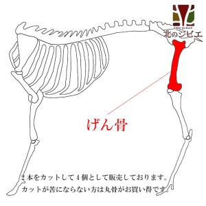 画像1: セール対象 / 犬用 エゾ鹿 げん骨4個  生食OK！