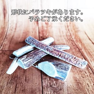 画像2: 鹿角 14-16cm 半割カット 1本　【ネコポス送料無料】