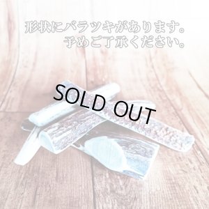 画像2: 鹿角 14-16cm 半割カット 1本　【ネコポス送料無料】