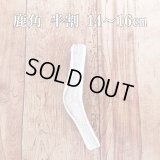 鹿角 14-16cm 半割カット 1本　【ネコポス送料無料】