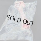 こっそり販売　ヒグマ　上腕骨　1本