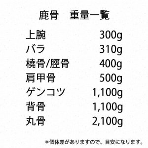 画像5: 【在庫一掃】犬用 エゾ鹿 上腕骨2個  生食OK!【1人3個まで】