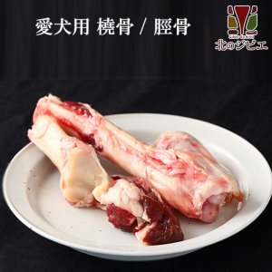 画像2: 【在庫一掃】エゾ鹿 脛骨(けいこつ)/橈骨(とうこつ)  生食OK！どちらかを発送します。【1人3個まで】