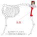 画像2: 鹿肉 丸骨 2kg  北のジビエ直販:北海道エゾシカ (2)