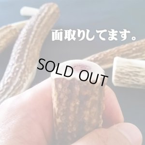 画像4: 【鹿角】おまかせ 幹角 4cm〜6cm 用途自由 ペットおもちゃ、アクセサリー色々。北海道エゾシカつの