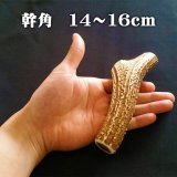【鹿角】おまかせ 幹角 14cm〜16cm 用途自由 ペットおもちゃ、アクセサリー色々。北海道エゾシカつの