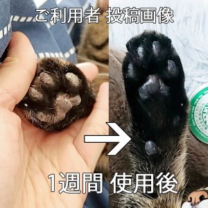 画像5: 【獣医師監修】犬用 ハナ&肉球 ケアー 25g ペットの乾燥した肌に!鹿油100%舐めても安心安全 !【ネコポス送料無料】
