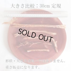 画像2: 【大量購入の方へ】ペット用 えぞ鹿アキレス腱 50g [グラム販売、数量同梱、1袋に入れます]