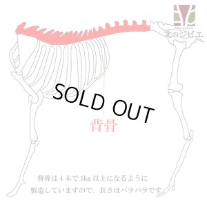 画像1: 犬用 エゾ鹿 背骨4本 (約1kg)   生食OK！【1人5個まで】