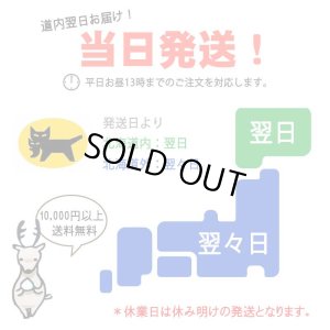 画像5: 鹿角 14-16cm 半割カット 1本　【ネコポス送料無料】
