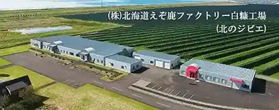 株式会社北海道えぞ鹿ファクトリー白糠工場(北のジビエ)
