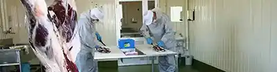 北海道えぞ鹿ファクトリー 加工室