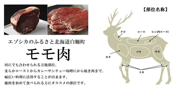 えぞ鹿肉　もも肉　北のジビエ