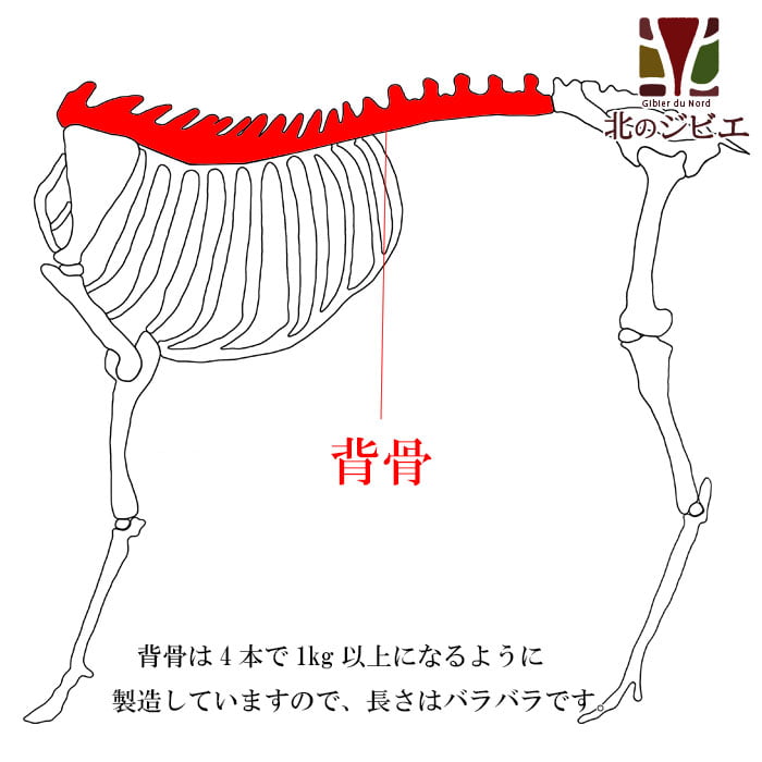 犬用 エゾ鹿 背骨4本 (約1kg)   生食OK！【1人5個まで】