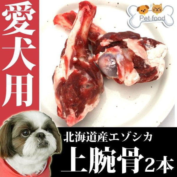 画像2: 【在庫一掃】犬用 エゾ鹿 上腕骨2個  生食OK!【1人3個まで】 (2)