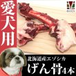 画像2: 犬用 エゾ鹿 げん骨4個  生食OK！ (2)