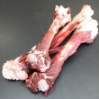 画像3: 鹿肉 丸骨 2kg  北のジビエ直販:北海道エゾシカ (3)