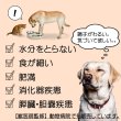 画像2: [徳用] 加熱済み エゾ鹿肉入りスープ 200g×12袋 【犬用 病院食 療養食 無添加 レトルト 手作り】 (2)