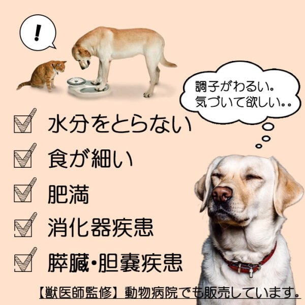 画像2: 【獣医師監修】犬用 エゾ鹿濃厚スープ 200g【犬用 病院食 療養食 無添加 レトルト 手作り 熱中症対策】【ネコポス送料無料】 (2)