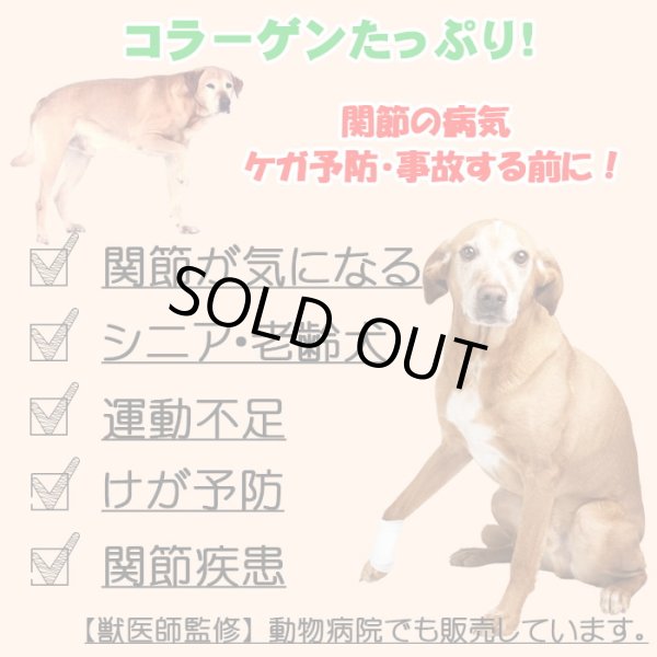 画像3: 【獣医師監修】犬用 ナマコ粉末(キンコ) 90g コラーゲンの補給/関節に！【犬用 病院食 無添加】 (3)