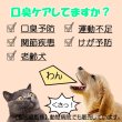 画像3: 【お徳用】10袋セット 】鹿肉ペースト 10g×10本 (鹿肉×ナマコ×乳酸菌)  口臭予防/関節に！【獣医師監修】【ネコポス送料無料】【猫用 犬用 病院食 療養食 安心安全 無添加】 (3)