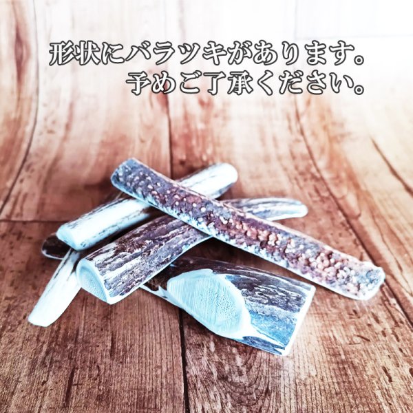 セール対象] 鹿角 14-16cm 半割カット 1本 【ネコポス送料無料