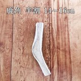 鹿角(エゾシカの角) - 北海道エゾ鹿肉専門店 北のジビエ