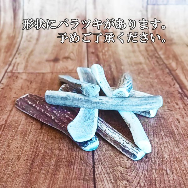 画像2: 鹿角 9-11cm 半割カット 1本 【ネコポス送料無料】 (2)