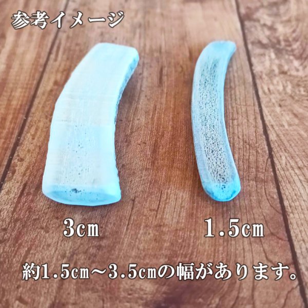 画像3: 鹿角 9-11cm 半割カット 1本 【ネコポス送料無料】 (3)