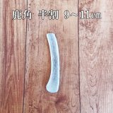 鹿角(エゾシカの角) - 北海道エゾ鹿肉専門店 北のジビエ