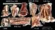 画像4: 鹿肉 丸骨 2kg  北のジビエ直販:北海道エゾシカ (4)
