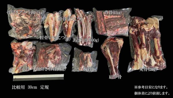 画像3: 【在庫一掃】エゾ鹿 肩甲骨(へら骨) 生食OK!【1人2個まで】 (3)