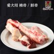 画像2: 【在庫一掃】エゾ鹿 脛骨(けいこつ)/橈骨(とうこつ)  生食OK！どちらかを発送します。【1人3個まで】 (2)