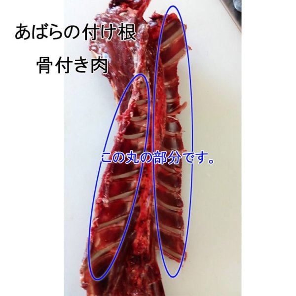 画像2: ペット用  えぞ鹿 骨付きアバラ肉  1kg  生食OK! (2)