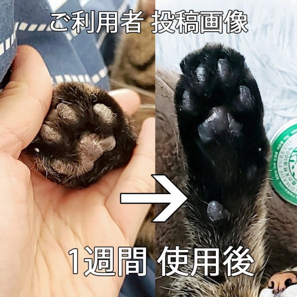 画像5: 【獣医師監修】犬用 ハナ&肉球 ケアー 90g ペットの乾燥した肌に!鹿油100%舐めても安心安全 !【ネコポス送料無料】 (5)