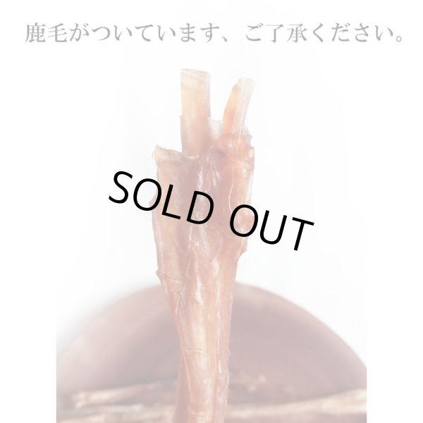 画像3: 【大量購入の方へ】ペット用 えぞ鹿アキレス腱 50g [グラム販売、数量同梱、1袋に入れます] (3)