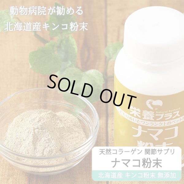 画像1: 【獣医師監修】犬用 ナマコ粉末(キンコ) 90g コラーゲンの補給/関節に！【犬用 病院食 無添加】 (1)