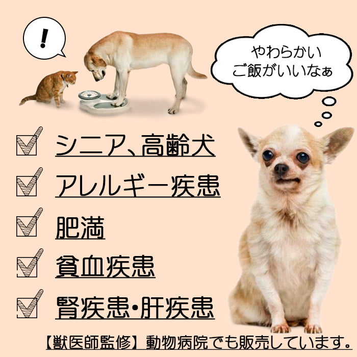 【匿名配送】犬用ペットフード　4点セット